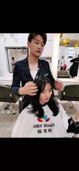 -爱维丽