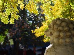 -北京石刻艺术博物馆(五塔寺)