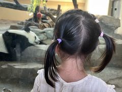 -宁波野生动物园