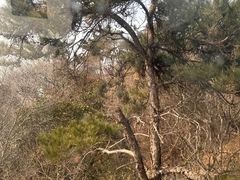 -紫金山索道-售票处