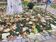 -山东大学(千佛山校区)