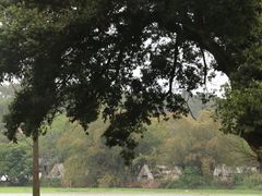 -南宁良凤江国家森林公园