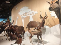 -陕西自然博物馆