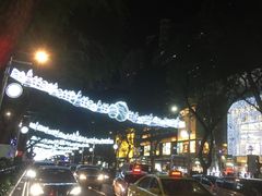 -爱雍·乌节