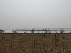 -合肥滨湖国家森林公园