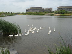 -上海海洋大学(临港校区)