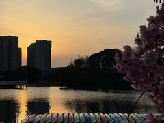 -新江湾城公园