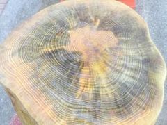 -汕头八里香牛肉店(人民南店)