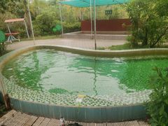 -汕头莲花山度假村温泉