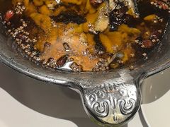 -沸腾鱼乡(知春路分店)