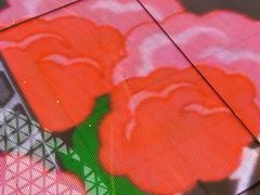 -武汉光谷K11