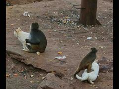 -昆明动物园