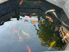 -西安市广仁寺
