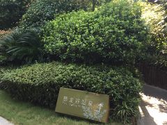 -常州环球恐龙城维景国际大酒店