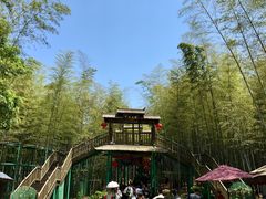 -陶祖圣境风景区