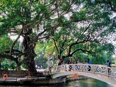 -荔湾湖公园