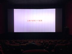 -AMG海上明珠影城(上海环球港RealDCinema店)