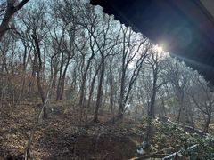 -镇江市南山风景名胜区竹林景区