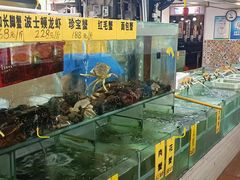 -寻味顺德·南记酒家·传统顺德菜·鱼生(广源路店)