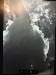 -费拉摄影(天廊T66店)