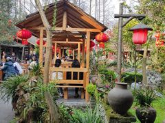 -青城甲(青城山店)