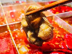 -陈陈火锅(较场口店)