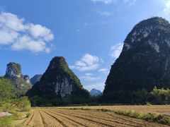 -明仕田园