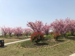 -南湖湿地公园
