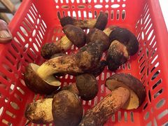 -草墩罗非鱼庄•野生菌•腊排骨(七星街上段店)