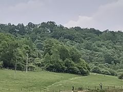 -关山草原
