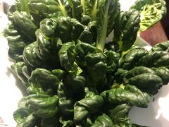 -大匠工房古船木艺术餐厅·猪肚鸡专门店(长白仙岛店)