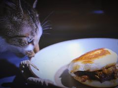 烧饼夹肘子-傅记酱肉