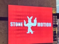 -Stone Motion释动健身