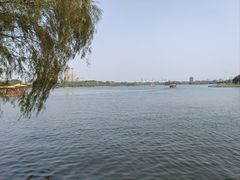 -济南大明湖景区