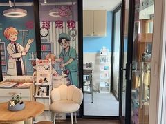 -哆趣宠物医院·眼科·内镜·急重症转诊中心(上海店)