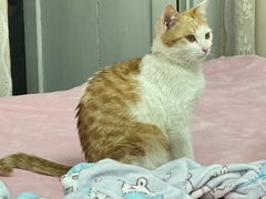 -天宠宠物医院24小时·急重症诊疗中心·全科·腔镜特色(和平分院)