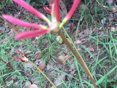 -艾溪湖湿地公园