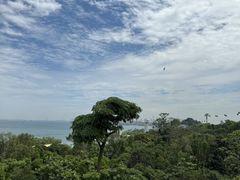 -圣淘沙天际线斜坡滑车