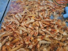 -北塘海鲜·天津菜(大光明桥旗舰店)
