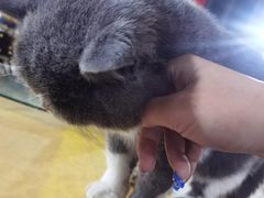 -柳沟豆腐宴69号福豆堂