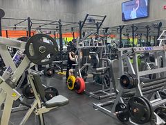 -健身专家Wellness Experts