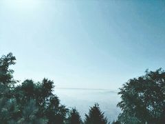 -兰山公园