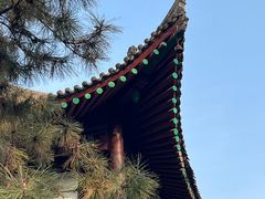 -西安博物院