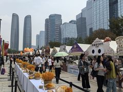 -合景·悠方(成都店)