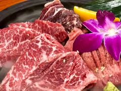 极上拼盘-大阪烧肉BAKA一代(十亩地店)