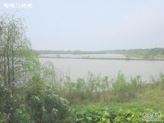 -大湾区中央湿地公园