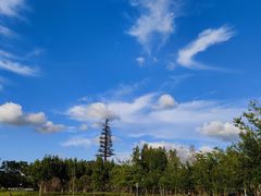 -上海山野camping·户外天幕烧烤·团建拓展营地