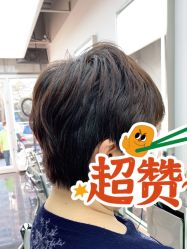 -查克拉造型