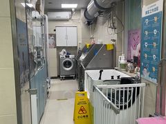 -北京观赏动物医院·24小时大型综合·猫专科·异宠专科