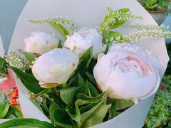 -双季花艺园艺市场(浦东店)